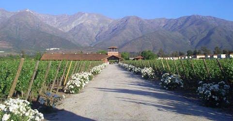 Tour privado de vinos boutique en el valle del Maipo desde Santiago de Chile